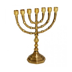 Small Seven Branch Menorah Dark Gold Brass Givin... | 7 Branch Menorah