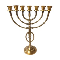 7 Branch Menorah Fish Star of David Menorah Anti... | 7 Branch Menorah