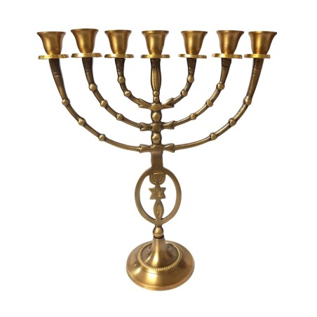 7 Branch Menorah Fish Star of David Menorah Anti... | 7 Branch Menorah