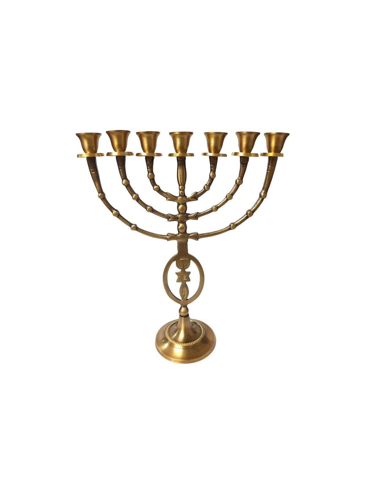 7 Branch Menorah Fish Star of David Menorah Anti... | 7 Branch Menorah