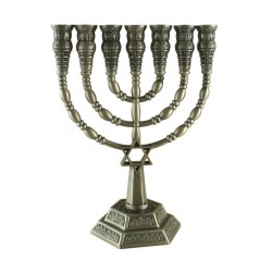 7 Branch Menorah with Star of David and Jerusale... | 7 Branch Menorah