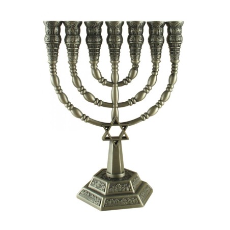 7 Branch Menorah with Star of David and Jerusale... | 7 Branch Menorah