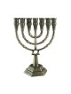 7 Branch Menorah with Star of David and Jerusale... | 7 Branch Menorah