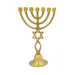 Dark Gold Brass 7 Branch Menorah with Star of Da... | 7 Branch Menorah