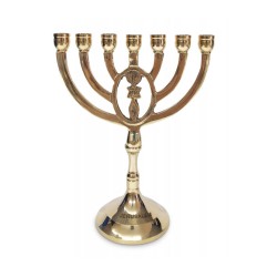 Seven Branch Menorah with Oval Framed Grafted In... | 7 Branch Menorah