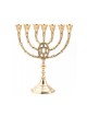 Seven Branch Menorah of Gold Colored Brass with ... | 7 Branch Menorah