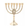 Seven Branch Menorah of Gold Colored Brass with ... | 7 Branch Menorah