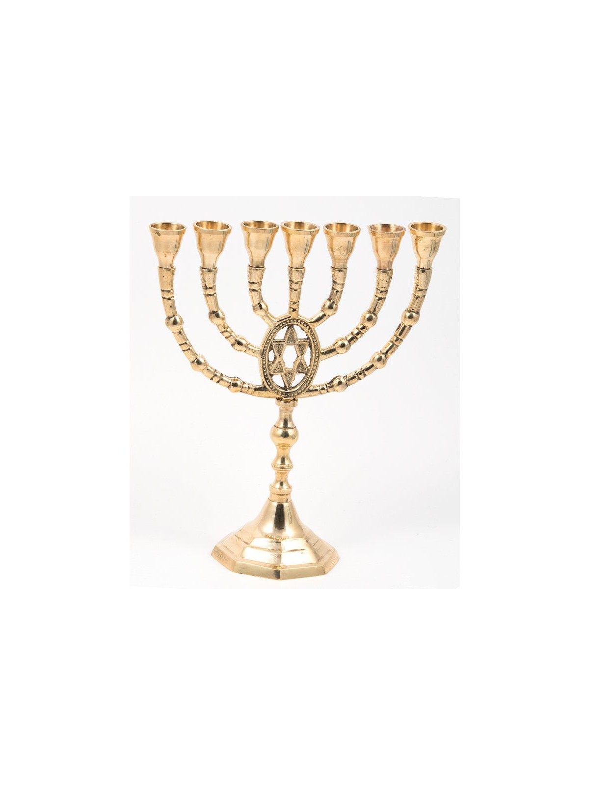 Seven Branch Menorah of Gold Colored Brass with ... | 7 Branch Menorah