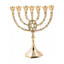 Seven Branch Menorah of Gold Colored Brass with ... | 7 Branch Menorah