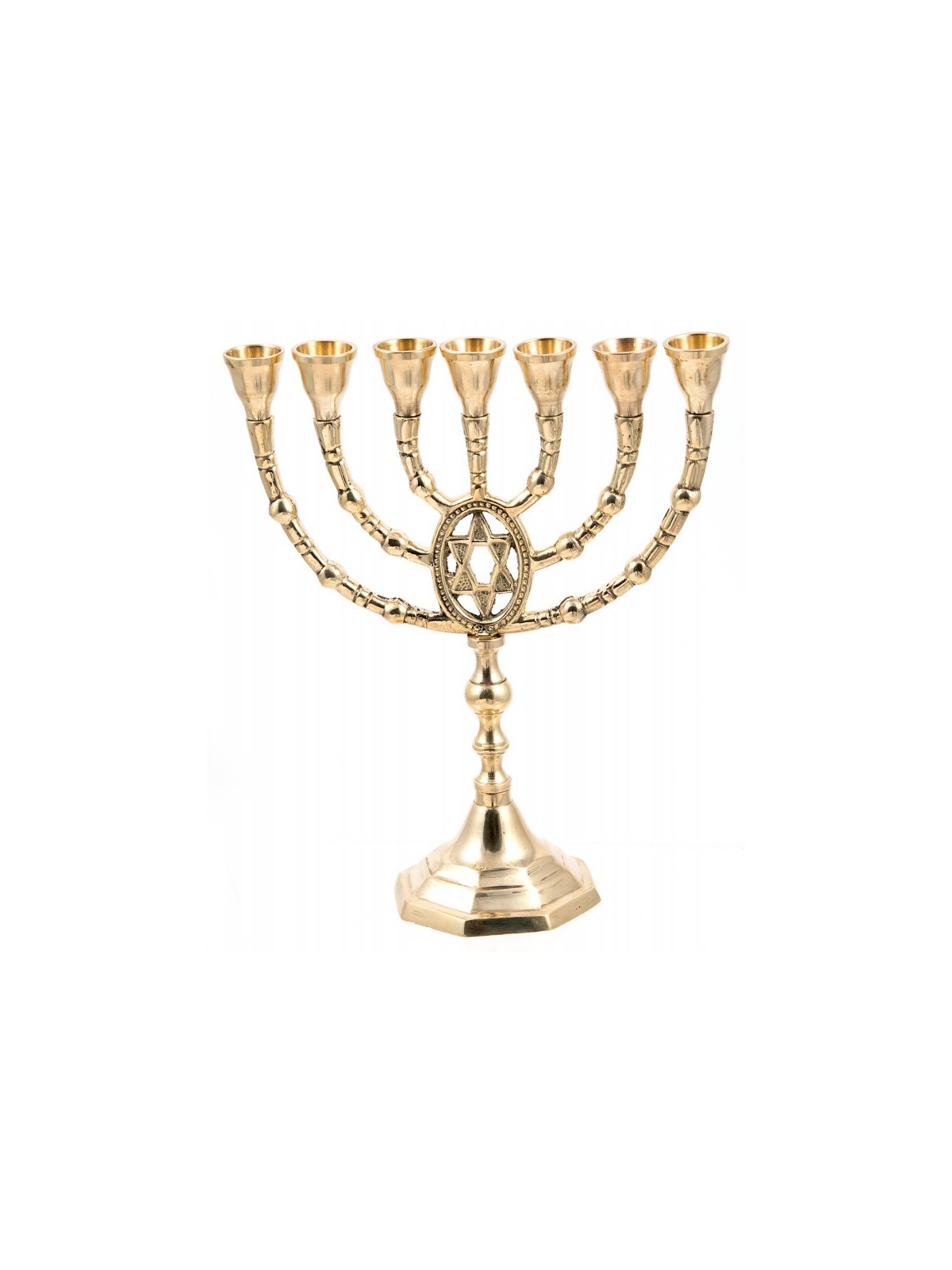 Seven Branch Menorah of Gold Colored Brass with ... | 7 Branch Menorah