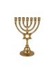 Yair Emanuel Seven Branch Bronze Menorah with St... | 7 Branch Menorah