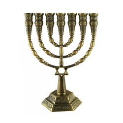 7 Branch Menorah with Star of David and Jerusale... | 7 Branch Menorah