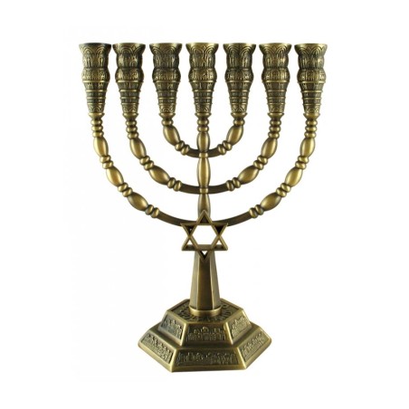 7 Branch Menorah with Star of David and Jerusale... | 7 Branch Menorah