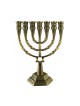 7 Branch Menorah with Star of David and Jerusale... | 7 Branch Menorah