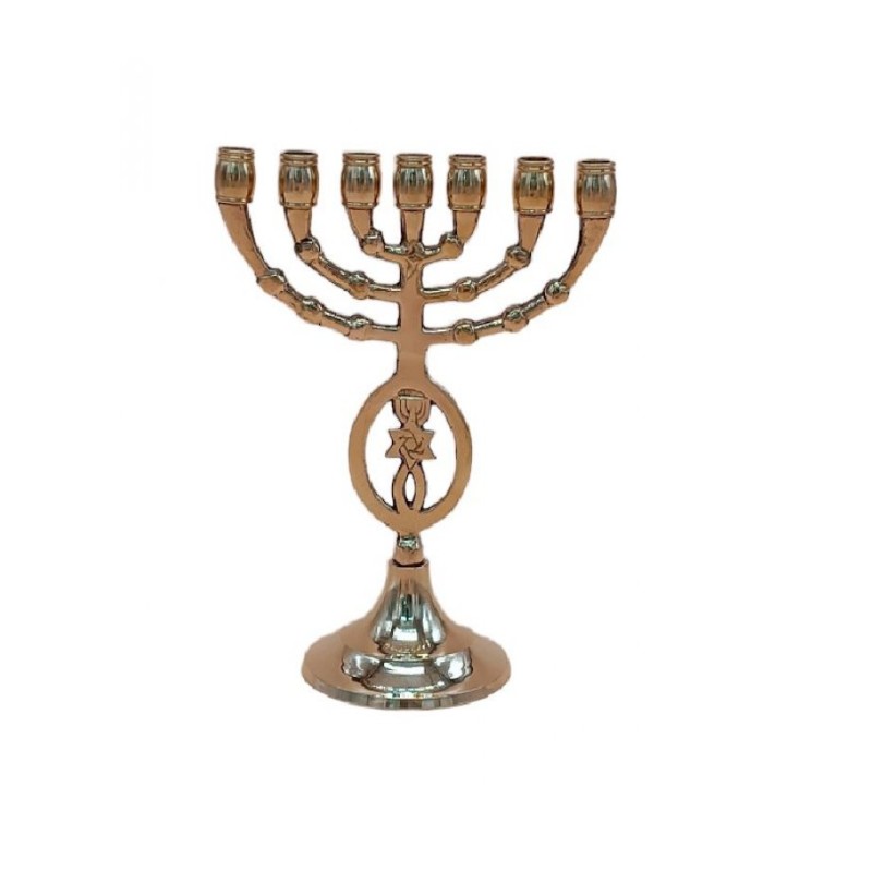 Seven Branch Menorah with Fish and Star of David... | 7 Branch Menorah