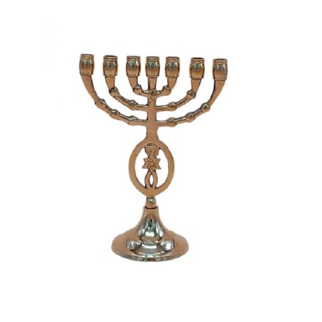 Seven Branch Menorah with Fish and Star of David... | 7 Branch Menorah