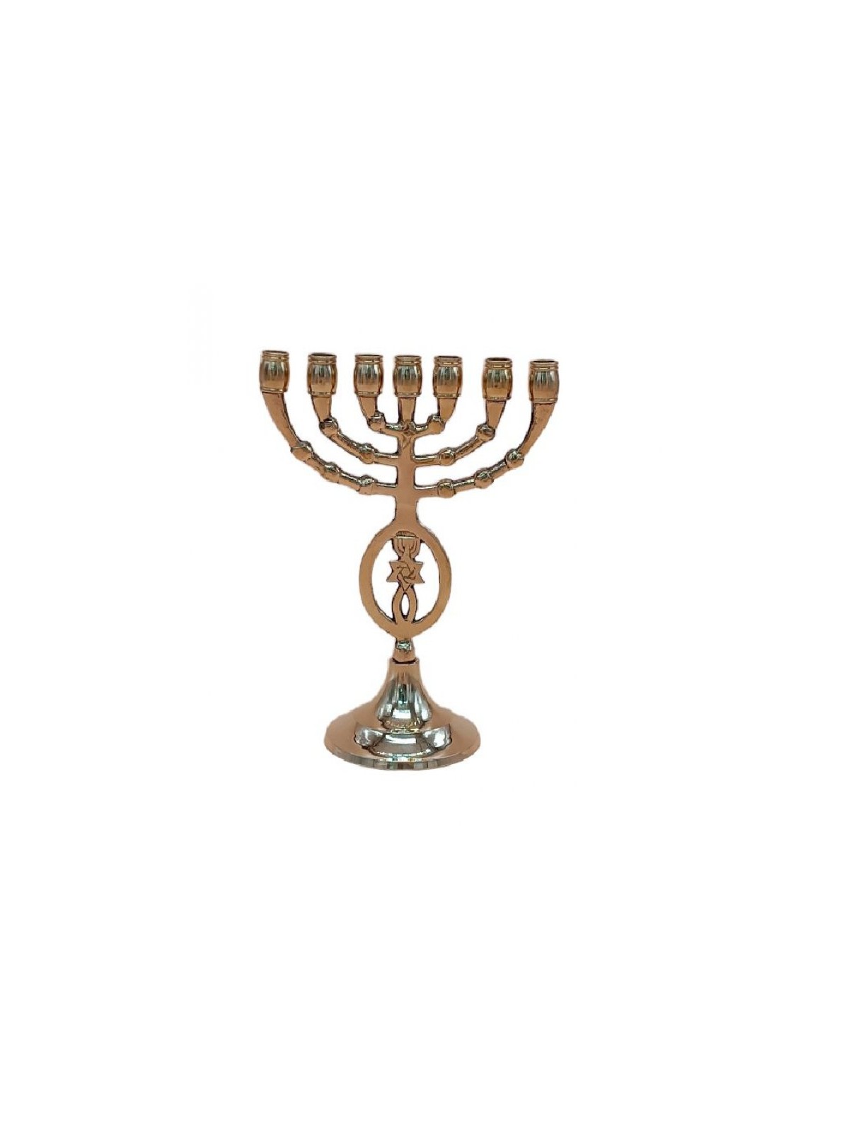 Seven Branch Menorah with Fish and Star of David... | 7 Branch Menorah