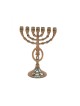 Seven Branch Menorah with Fish and Star of David... | 7 Branch Menorah