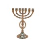 Seven Branch Menorah with Fish and Star of David... | 7 Branch Menorah