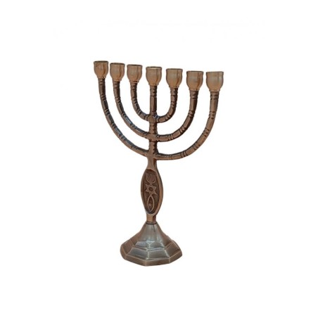 Small Seven Branch Menorah Fish Design Brass Ant... | 7 Branch Menorah