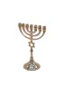 Small Seven Branch Menorah of Gold Brass Decorat... | 7 Branch Menorah