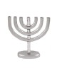 Yair Emanuel Seven Branch Classic Temple Menorah... | 7 Branch Menorah