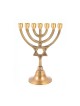 7 Branch Brass Menorah with Star of David on Ste... | 7 Branch Menorah
