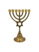 7 Branch Brass Menorah with Star of David on Ste... | 7 Branch Menorah