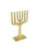 Seven Branch Menorah Engraved with 12 Tribes Emb... | 7 Branch Menorah