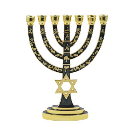 Gold 7 Branch Menorah Green Enamel with Star of ... | 7 Branch Menorah