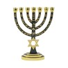 Gold 7 Branch Menorah Green Enamel with Star of ... | 7 Branch Menorah