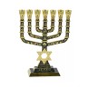 7 Branch Menorah Jerusalem Judaic Images Star of... | 7 Branch Menorah