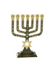 7 Branch Menorah Jerusalem Judaic Images Star of... | 7 Branch Menorah