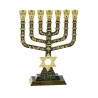 7 Branch Menorah Jerusalem Judaic Images Star of... | 7 Branch Menorah