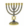 7 Branch Gold Menorah with Gray Enamel Judaic Sy... | 7 Branch Menorah