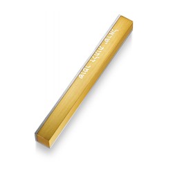 Adi Sidler Mezuzah Case Guardian of Doors of Is... | Aluminium Mezuzah