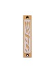 Agayof Mezuzah Case with Letters of Divine Name... | Aluminium Mezuzah