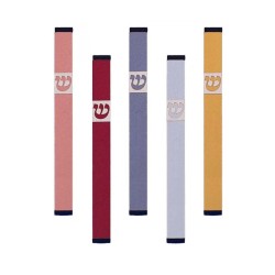 Agayof Pillar Mezuzah Case with Curving Shin Li... | Aluminium Mezuzah