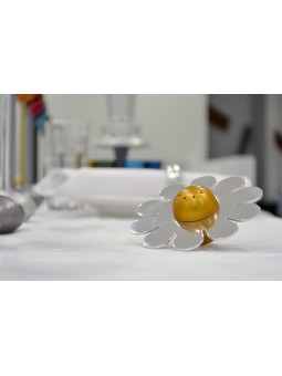 Shiny Floral Aluminum Salt Shaker , Jewish Housewarming , Israeli Juda