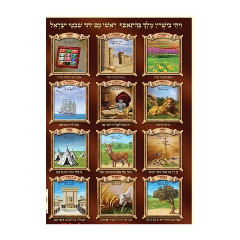 Laminated Colorful Wall Poster Twelve Tribes of Israel wi... | Posters