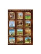 Laminated Colorful Wall Poster Twelve Tribes of Israel wi... | Posters