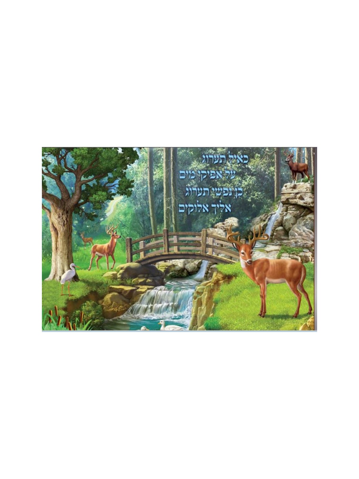 Laminated Colorful Wall Poster Psalms As the Deer Pants f... | Posters