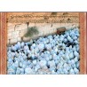 Laminated Colorful Wall Poster Birkat Kohanim at Western ... | Posters