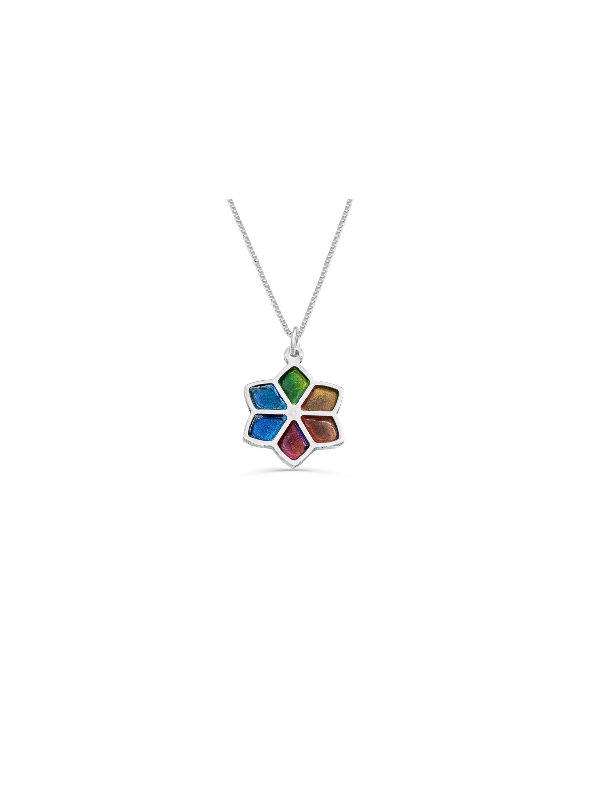 Star of David Floral Necklace with Enamel , Sterling Silver Family Nec