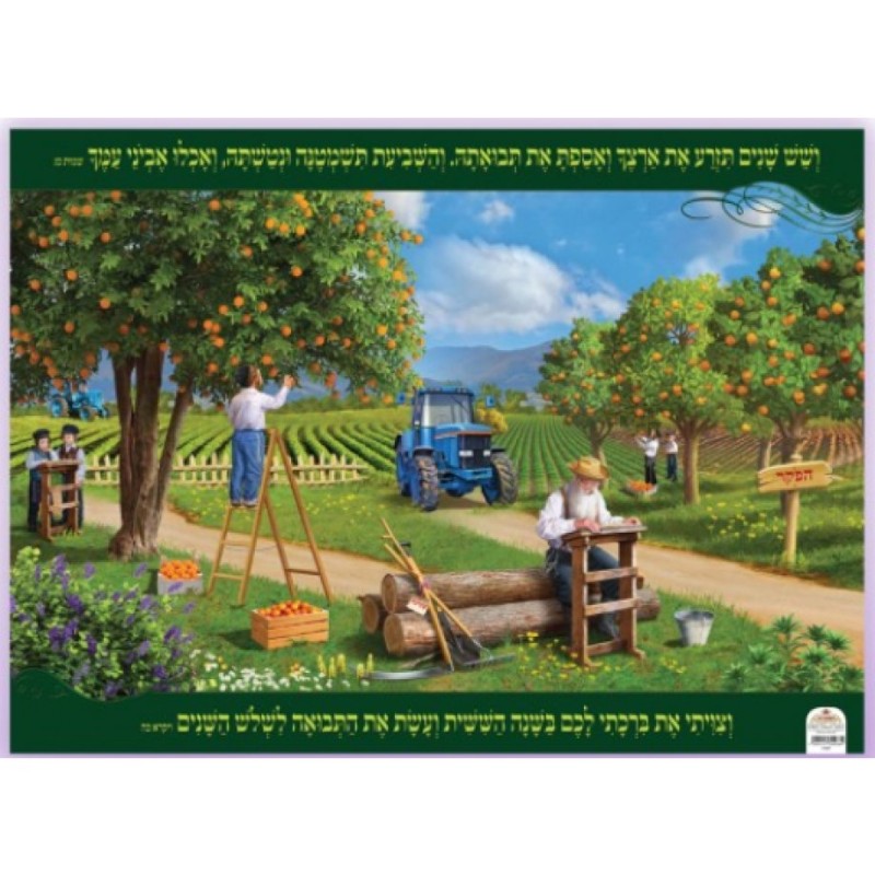 Laminated Colorful Wall Poster A Field During the Shmita ... | Posters