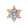Dorit Judaica Wall Art Medium Star of Davi... | Wall Hangings by Dorit