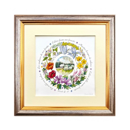 Dvora Black Colors from Jerusalem Forests Sig... | Kids Games and Toys