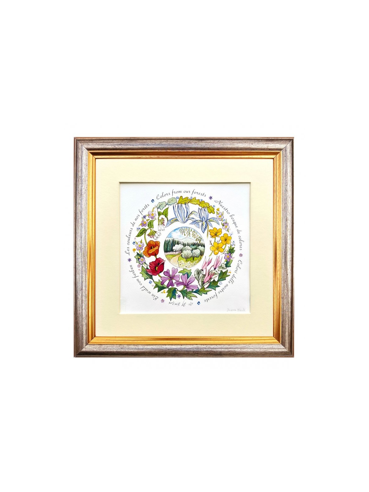 Dvora Black Colors from Jerusalem Forests Sig... | Kids Games and Toys