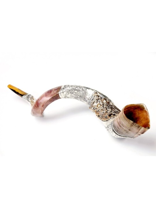 Shofa yéménite décoratif en argent sterling... | Shofars en argent sterling