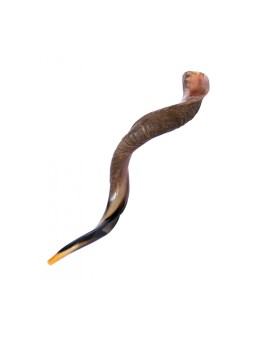 Extra Large Yéménite Kudu Shofar Demi-Poli Hal... | Offres spéciales